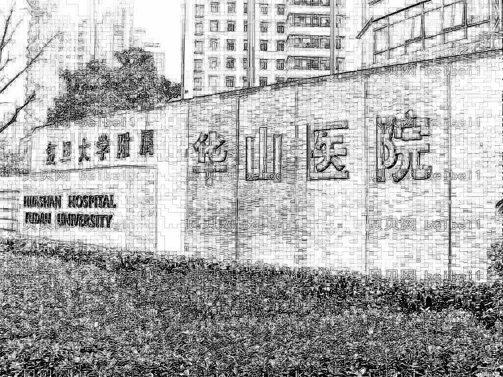 上海复旦大学附属华山医院植发科整形价格