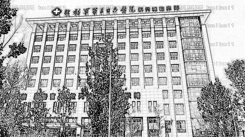 北京306医院