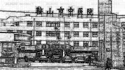 鞍山市中医院