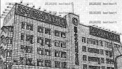 辽宁中医学院附属医院