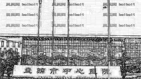 盘锦市中心医院