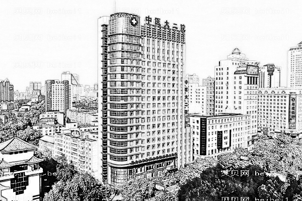 黑龙江省中医药大学附属第二医院