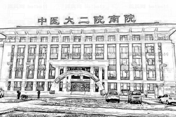 黑龙江省中医药大学附属第二医院