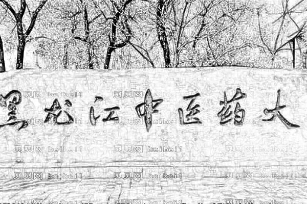 黑龙江省中医药大学附属第二医院