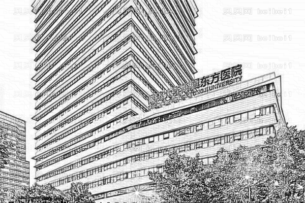 上海同济大学附属东方医院
