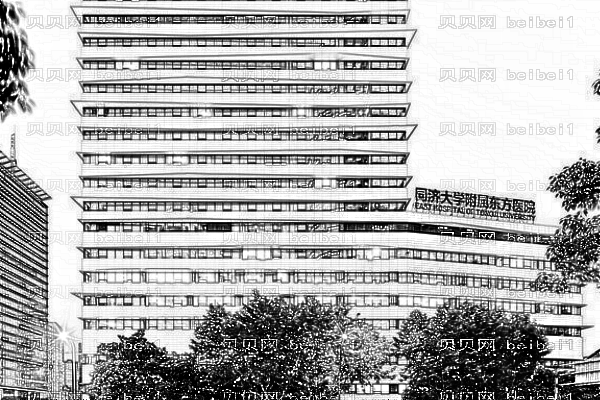 上海同济大学附属东方医院