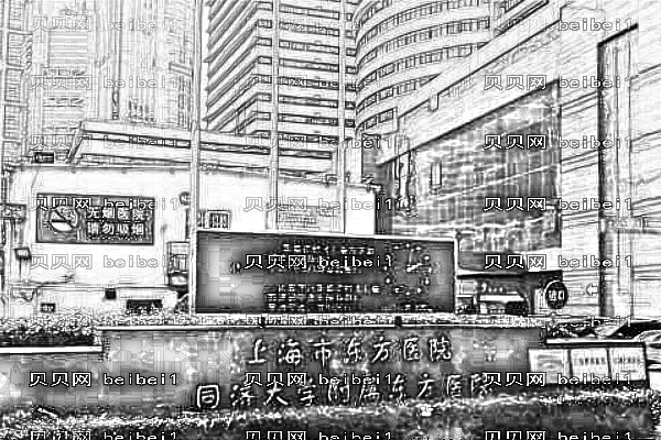 上海同济大学附属东方医院