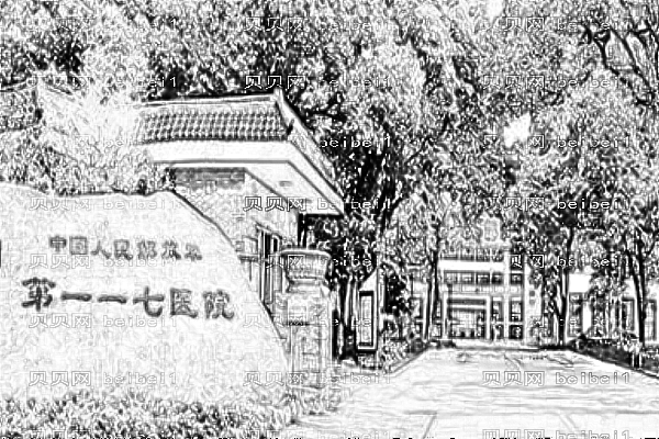 人民解放军第一一七医院
