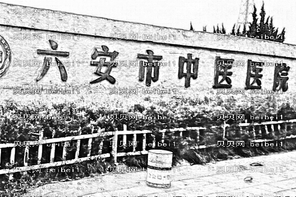 六安市中医院