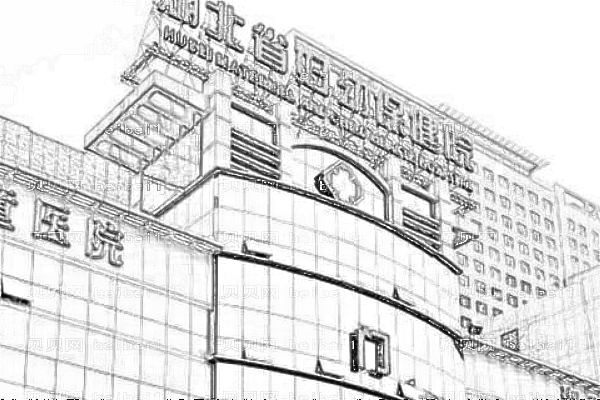 湖北省妇幼保健院