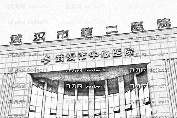 武汉市第二医院
