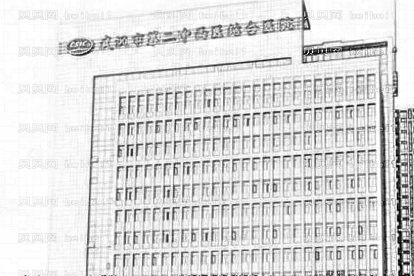 武汉市第二医院