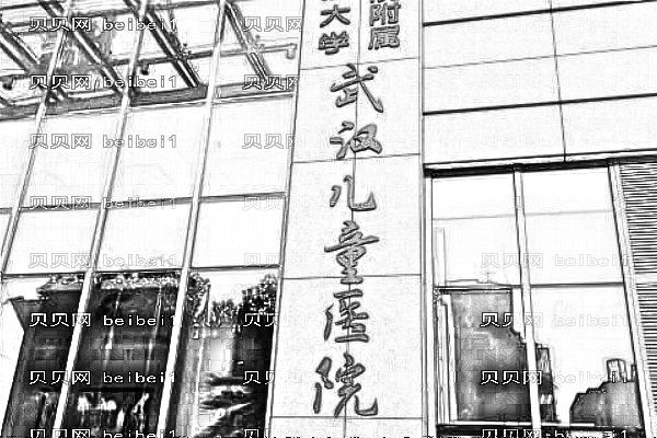 武汉市儿童医院