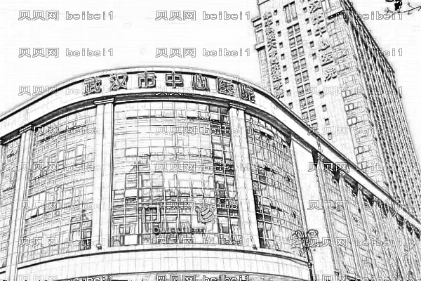武汉市中心医院