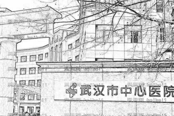 武汉市中心医院