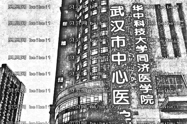 武汉市中心医院