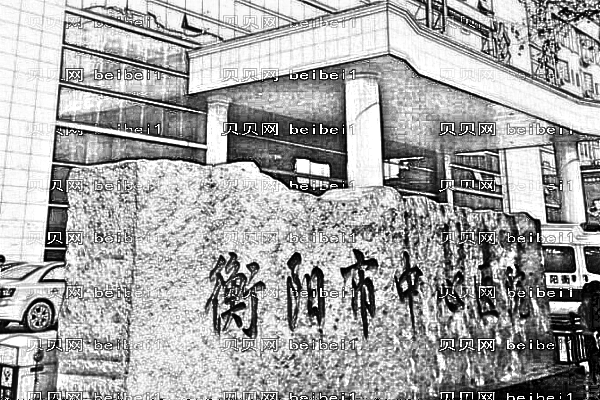 衡阳市中心医院