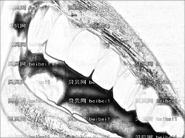 防城港市中医医院