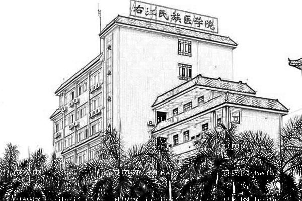 右江民族医学院附属医院