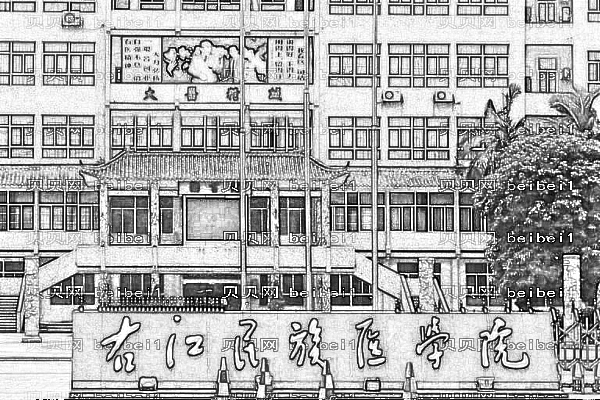 右江民族医学院附属医院