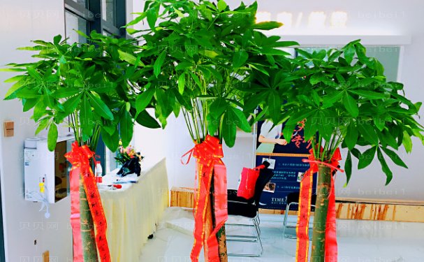福州皮肤美容靠谱的医生名单公布