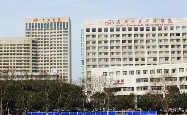 武汉鼻修复擅长的医生名单