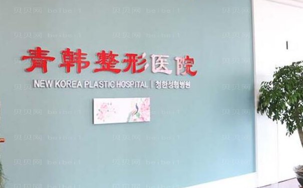 烟台宝尼达填充鼻基底哪个医院做得好