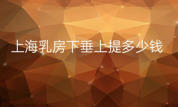 上海乳房下垂上提整形医院哪家好?医院排名前7名单一览