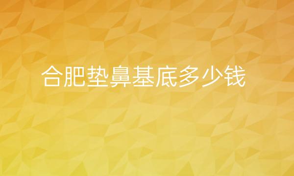 合肥垫鼻基底哪家医院比较好?价格一览