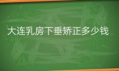 大连乳房下垂矫正哪家医院好?乳房下垂矫正手术价格