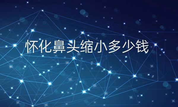 怀化鼻头缩小医院哪家好_价格一览
