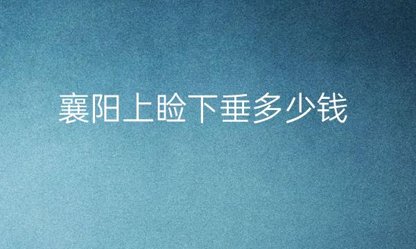 襄阳上睑下垂哪家医院比较好?价格一览