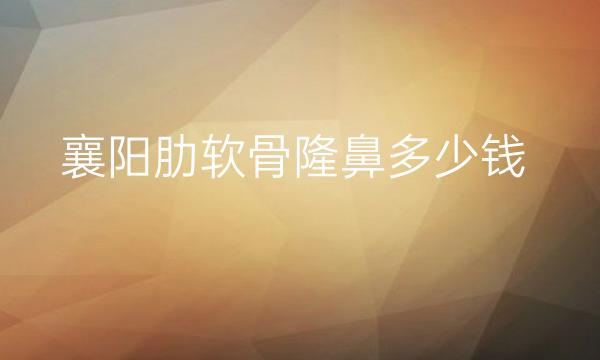 襄阳肋软骨隆鼻哪家医院比较好?价格介绍