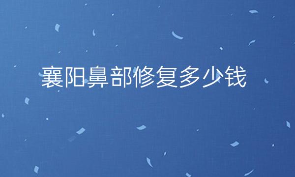襄阳鼻部修复哪家医院比较好?价钱参考