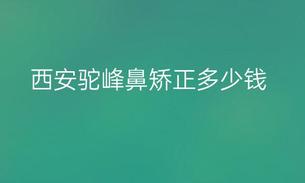 西安驼峰鼻矫正整形医院哪家好?鼻矫正可以来这里!