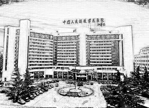 人民解放军总医院(北京301医院)整形美容科