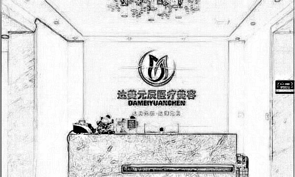 大连达美元辰医疗美容诊所