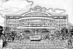 重庆第三军医大学新桥医院整形美容外科