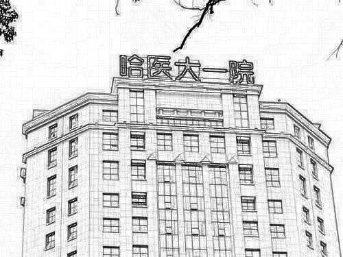 哈尔滨医科大学附属第(一)医院整形美容科