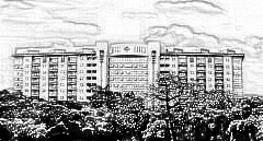 广州第(一)人民医院整形外科