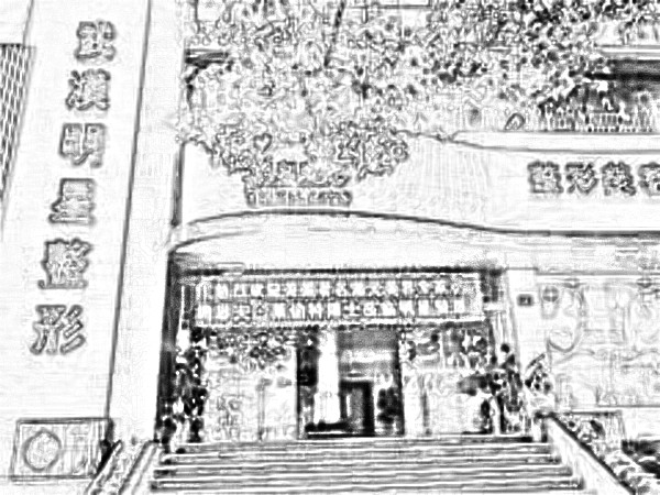 武汉明星医疗美容