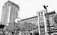 浙江大学医学院附属第二医院整形外科