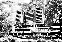 深圳市人民医院整形外科