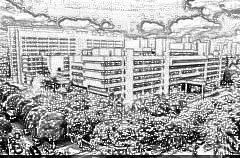 汕头大学医学院第(一)附属医院整形外科