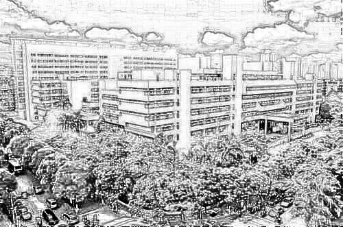 汕头大学医学院第(一)附属医院整形外科