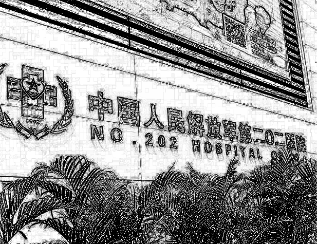 人民解放军第二〇二医院整形美容科