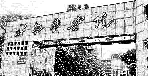 成都医学院附一院烧伤整形科