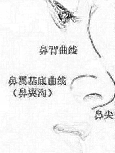 天津朝天鼻矫正价格是多少,哪种价位的好?