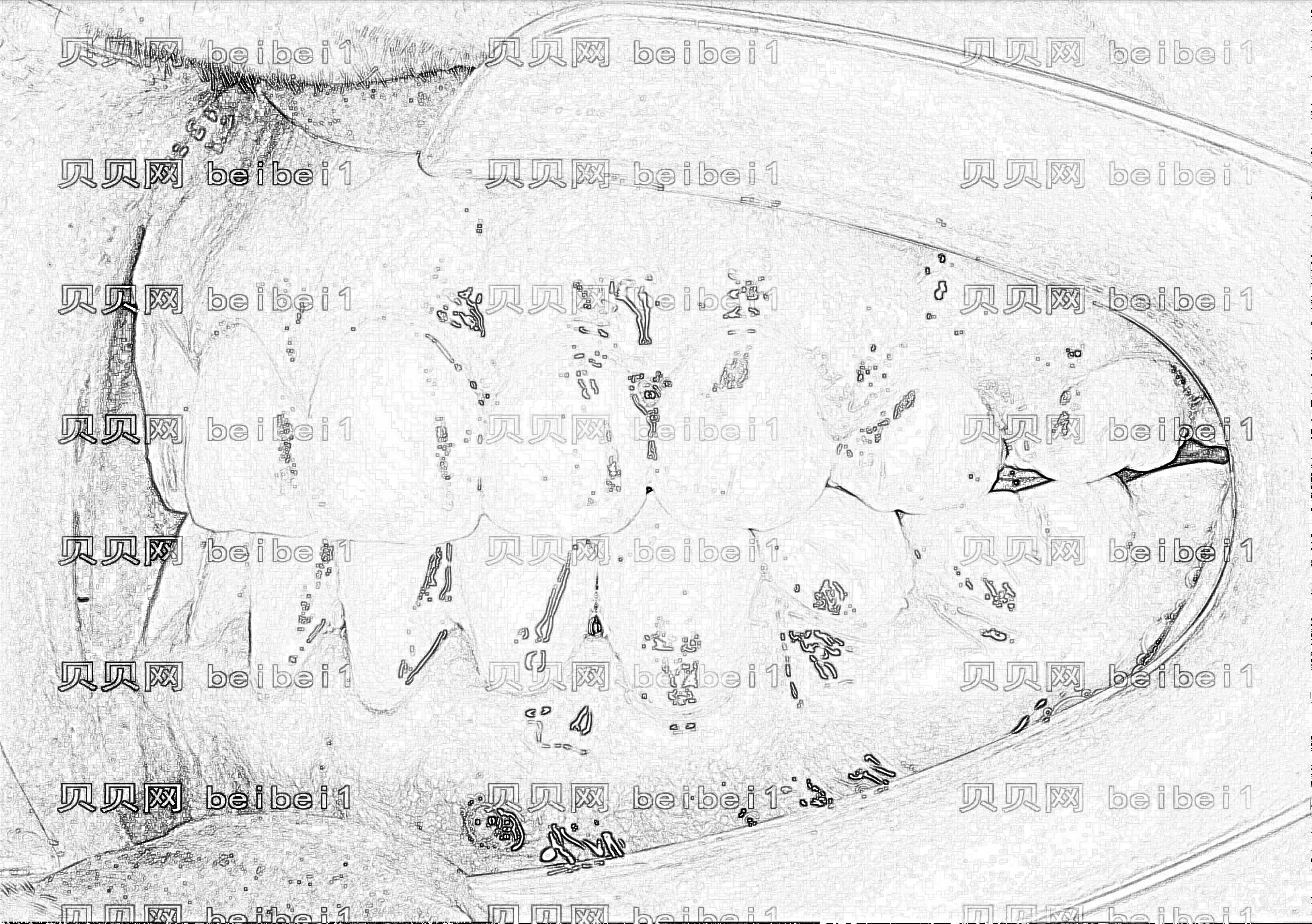 武汉壹加壹医疗美容医院周宁牙齿矫正介绍
