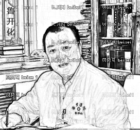 西京医院整形科鲁开化